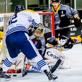 ALBATROS DE BREST VS LES CORSAIRES DE DUNKERQUE 03/11/18 - © Marion BESCOND