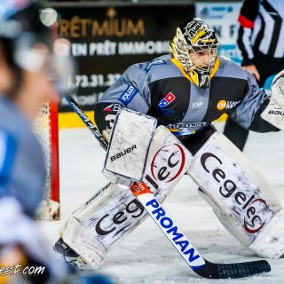 ALBATROS DE BREST VS LES CORSAIRES DE DUNKERQUE 03/11/18 - © Marion BESCOND