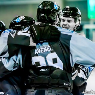 ALBATROS DE BREST VS LES CORSAIRES DE DUNKERQUE 03/11/18 - © Marion BESCOND