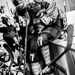 ALBATROS DE BREST VS LES CORSAIRES DE DUNKERQUE 03/11/18 - © Marion BESCOND