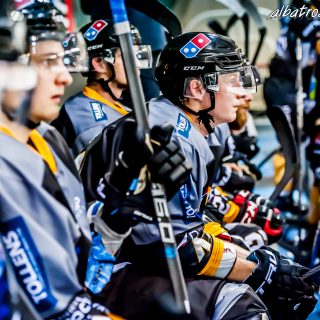 ALBATROS DE BREST VS LES CORSAIRES DE DUNKERQUE 03/11/18 - © Marion BESCOND