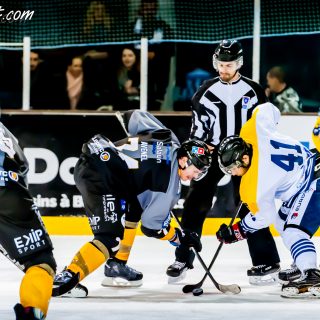 ALBATROS DE BREST VS LES CORSAIRES DE DUNKERQUE 03/11/18 - © Marion BESCOND