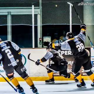 ALBATROS DE BREST VS LES CORSAIRES DE DUNKERQUE 03/11/18 - © Marion BESCOND