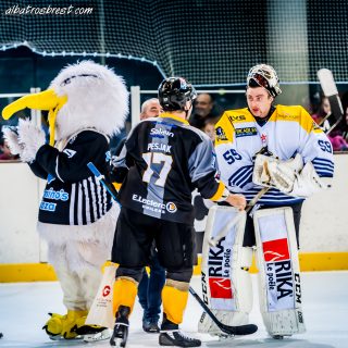 ALBATROS DE BREST VS LES CORSAIRES DE DUNKERQUE 03/11/18 - © Marion BESCOND