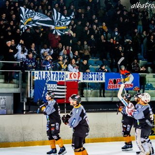 ALBATROS DE BREST VS LES CORSAIRES DE DUNKERQUE 03/11/18 - © Marion BESCOND