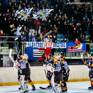 ALBATROS DE BREST VS LES CORSAIRES DE DUNKERQUE 03/11/18 - © Marion BESCOND