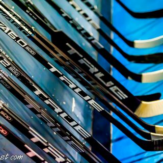 ALBATROS DE BREST VS LES DOGS DE CHOLET 16/11/18 - © Marion BESCOND