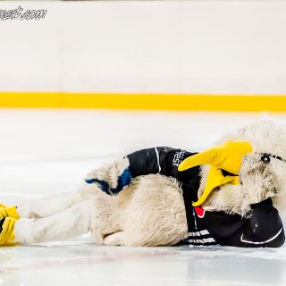 ALBATROS DE BREST VS LES DOGS DE CHOLET 16/11/18 - © Marion BESCOND