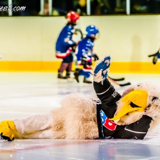 ALBATROS DE BREST VS LES DOGS DE CHOLET 16/11/18 - © Marion BESCOND