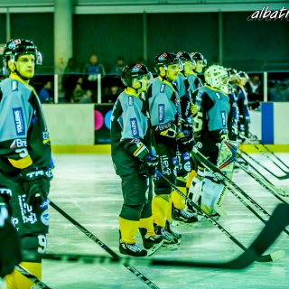 ALBATROS DE BREST VS LES DOGS DE CHOLET 16/11/18 - © Marion BESCOND