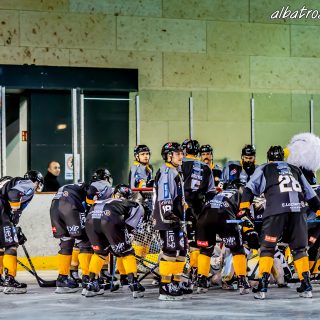 ALBATROS DE BREST VS LES DOGS DE CHOLET 16/11/18 - © Marion BESCOND