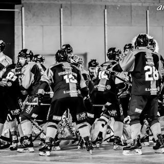 ALBATROS DE BREST VS LES DOGS DE CHOLET 16/11/18 - © Marion BESCOND