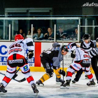 ALBATROS DE BREST VS LES DOGS DE CHOLET 16/11/18 - © Marion BESCOND