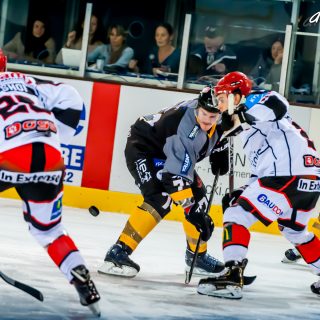 ALBATROS DE BREST VS LES DOGS DE CHOLET 16/11/18 - © Marion BESCOND