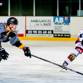 ALBATROS DE BREST VS LES DOGS DE CHOLET 16/11/18 - © Marion BESCOND