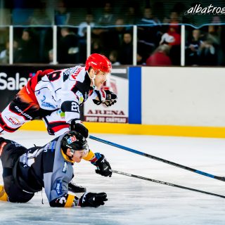 ALBATROS DE BREST VS LES DOGS DE CHOLET 16/11/18 - © Marion BESCOND