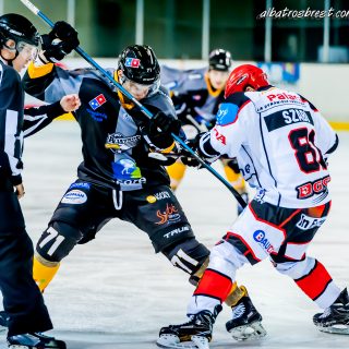 ALBATROS DE BREST VS LES DOGS DE CHOLET 16/11/18 - © Marion BESCOND