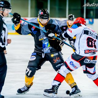 ALBATROS DE BREST VS LES DOGS DE CHOLET 16/11/18 - © Marion BESCOND