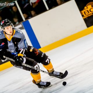 ALBATROS DE BREST VS LES DOGS DE CHOLET 16/11/18 - © Marion BESCOND