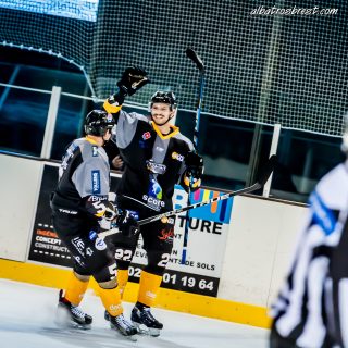 ALBATROS DE BREST VS LES DOGS DE CHOLET 16/11/18 - © Marion BESCOND