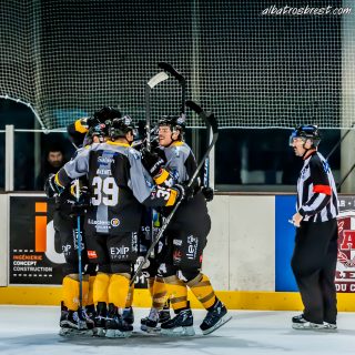 ALBATROS DE BREST VS LES DOGS DE CHOLET 16/11/18 - © Marion BESCOND