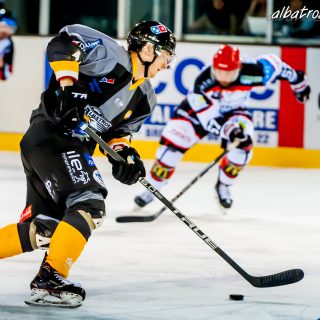 ALBATROS DE BREST VS LES DOGS DE CHOLET 16/11/18 - © Marion BESCOND