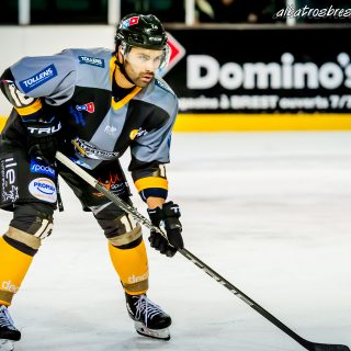 ALBATROS DE BREST VS LES DOGS DE CHOLET 16/11/18 - © Marion BESCOND