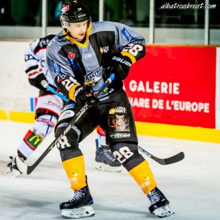 ALBATROS DE BREST VS LES DOGS DE CHOLET 16/11/18 - © Marion BESCOND