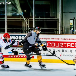 ALBATROS DE BREST VS LES DOGS DE CHOLET 16/11/18 - © Marion BESCOND