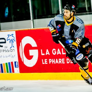 ALBATROS DE BREST VS LES DOGS DE CHOLET 16/11/18 - © Marion BESCOND