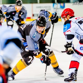 ALBATROS DE BREST VS LES DOGS DE CHOLET 16/11/18 - © Marion BESCOND