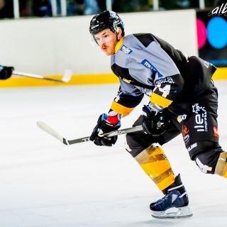 ALBATROS DE BREST VS LES DOGS DE CHOLET 16/11/18 - © Marion BESCOND