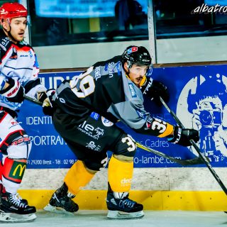 ALBATROS DE BREST VS LES DOGS DE CHOLET 16/11/18 - © Marion BESCOND