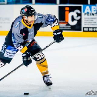 ALBATROS DE BREST VS LES DOGS DE CHOLET 16/11/18 - © Marion BESCOND