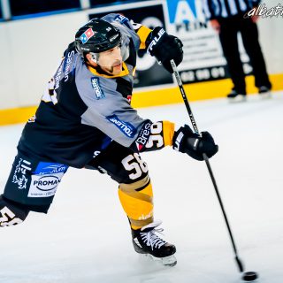 ALBATROS DE BREST VS LES DOGS DE CHOLET 16/11/18 - © Marion BESCOND