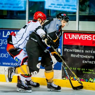 ALBATROS DE BREST VS LES DOGS DE CHOLET 16/11/18 - © Marion BESCOND