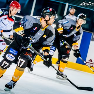 ALBATROS DE BREST VS LES DOGS DE CHOLET 16/11/18 - © Marion BESCOND