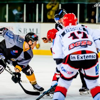 ALBATROS DE BREST VS LES DOGS DE CHOLET 16/11/18 - © Marion BESCOND