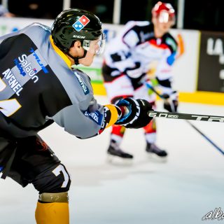ALBATROS DE BREST VS LES DOGS DE CHOLET 16/11/18 - © Marion BESCOND