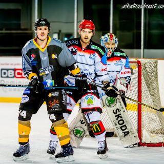 ALBATROS DE BREST VS LES DOGS DE CHOLET 16/11/18 - © Marion BESCOND