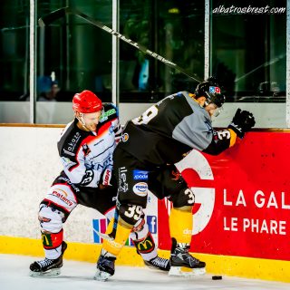 ALBATROS DE BREST VS LES DOGS DE CHOLET 16/11/18 - © Marion BESCOND