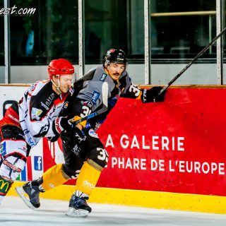 ALBATROS DE BREST VS LES DOGS DE CHOLET 16/11/18 - © Marion BESCOND