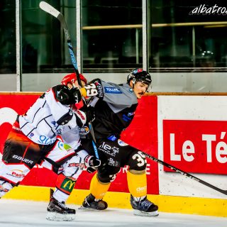 ALBATROS DE BREST VS LES DOGS DE CHOLET 16/11/18 - © Marion BESCOND
