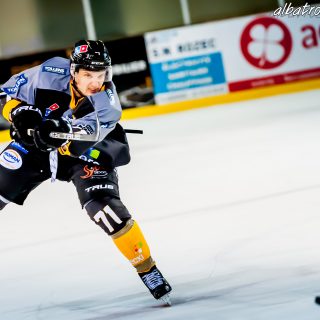 ALBATROS DE BREST VS LES DOGS DE CHOLET 16/11/18 - © Marion BESCOND