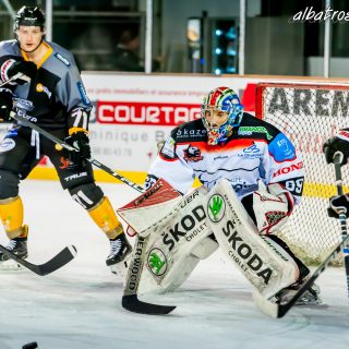 ALBATROS DE BREST VS LES DOGS DE CHOLET 16/11/18 - © Marion BESCOND