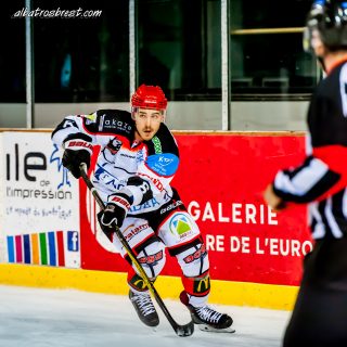 ALBATROS DE BREST VS LES DOGS DE CHOLET 16/11/18 - © Marion BESCOND