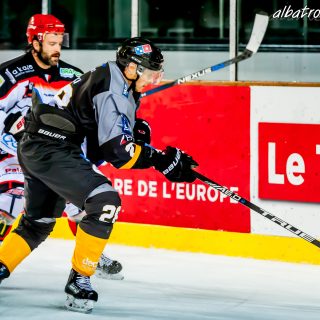ALBATROS DE BREST VS LES DOGS DE CHOLET 16/11/18 - © Marion BESCOND