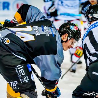 ALBATROS DE BREST VS LES DOGS DE CHOLET 16/11/18 - © Marion BESCOND