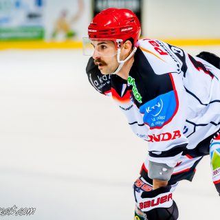 ALBATROS DE BREST VS LES DOGS DE CHOLET 16/11/18 - © Marion BESCOND