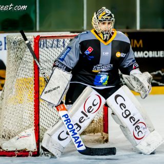 ALBATROS DE BREST VS LES DOGS DE CHOLET 16/11/18 - © Marion BESCOND